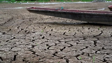 Arid soil Stock Footage 221977011