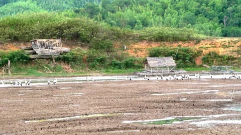 Arid soil Stock Footage 221979586