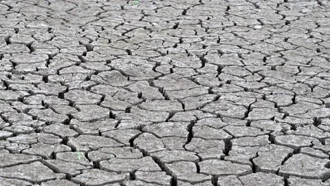 Arid soil Stock Footage 221980263