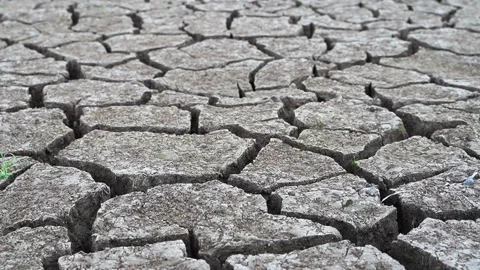 Arid soil Stock Footage 221980608