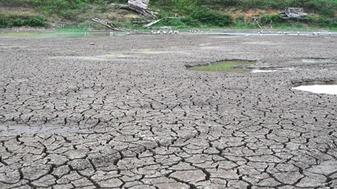 Arid soil Stock Footage 222086013