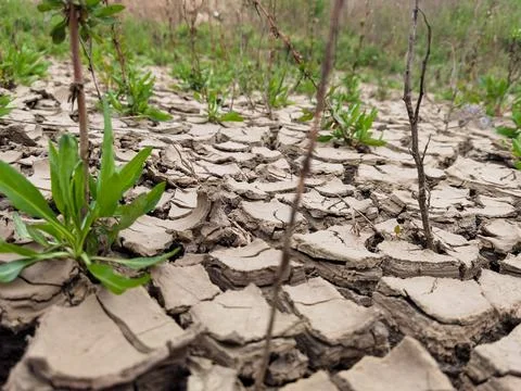 Aridity Foto stock