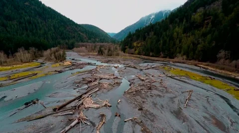 Arieal view of Deforestation Stock Footage 64230019