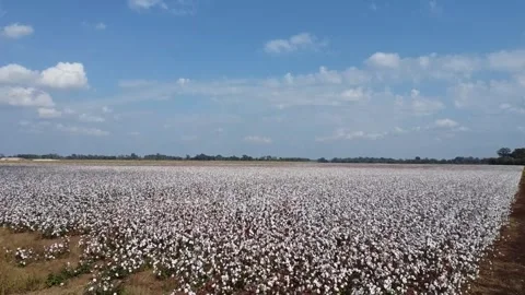 Ariel 39 Stock Footage 296508525