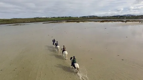Ariel of 4 Horses Galloping Clew bay, Mayo, Ireland, flyover Stock Footage 111906092