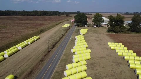 Ariel Stock Footage 291089456