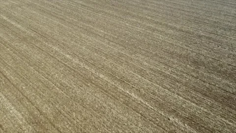 Ariel, Stock Footage 291187293