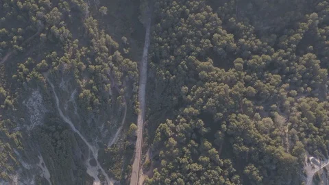 Ariel View Above Long Roads in a forest at sunset 스톡 동영상 101426275