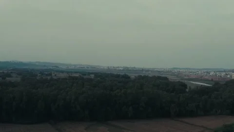 Ariel view of a forest Stock Footage 132587176