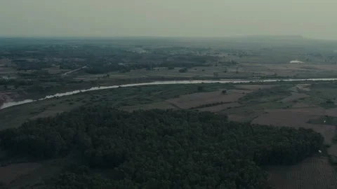 Ariel view of forest trees and river Stock Footage 132828067