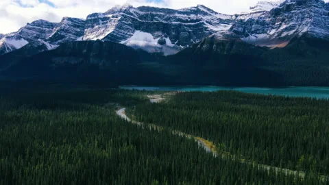 Ariel View of Road in Mountains and Green Pine Forest in Banff Stock Footage 163800712
