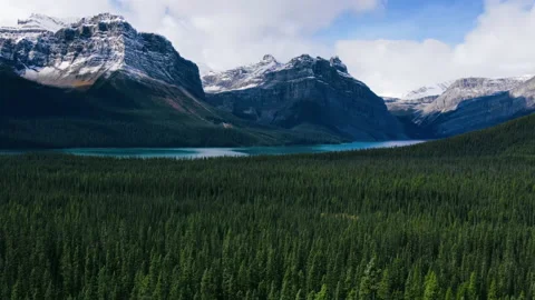 Ariel View of Road in Mountains and Green Pine Forest in Banff Stock Footage 163808660