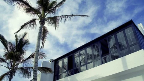 Arieta Sea-side Architecture Palm Tree Lanzarote Видео 101731983