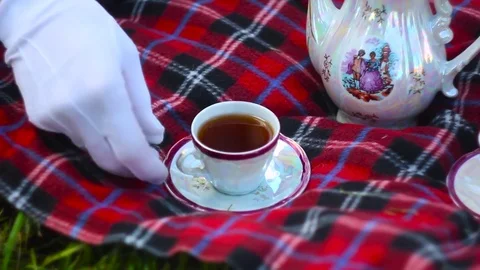 Aristocrats drink tea Stock Footage 76291661