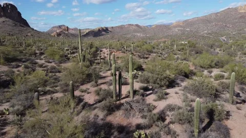 Arizona Desert 4 Video stock 180598847