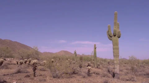 Arizona Desert Video stock 25487161