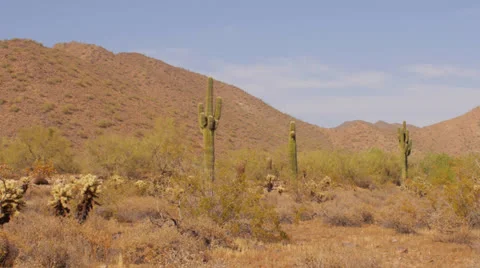 Arizona Desert Stock Footage 25784246