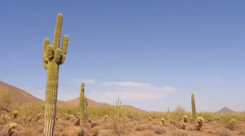 Arizona Desert Stock Footage 25784521
