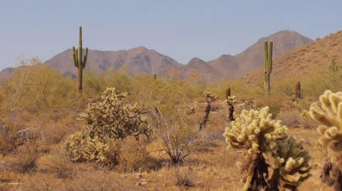 Arizona Desert Stock Footage 25784569