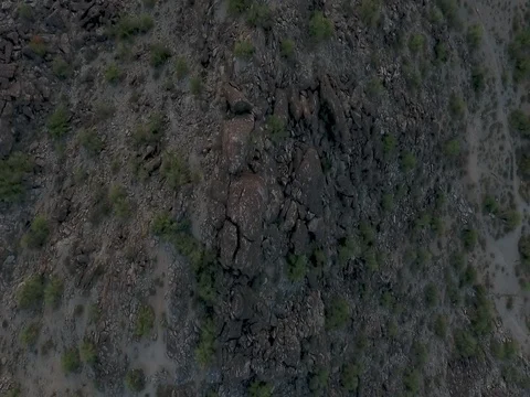 Arizona Desert Stock Footage 77885083