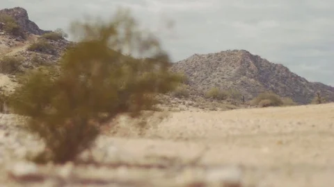 Arizona Desert Video stock 90995228