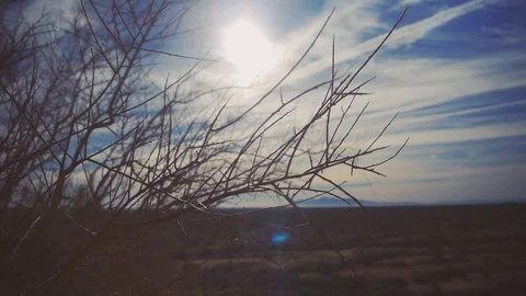 Arizona Desert Stock Footage 90995237