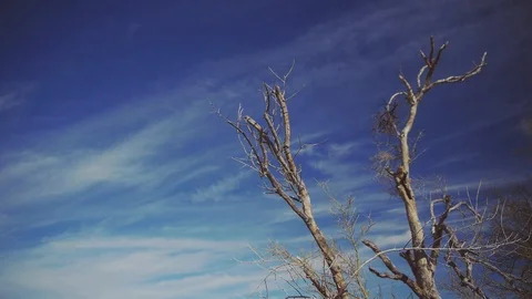 Arizona Desert Stock Footage 90995264