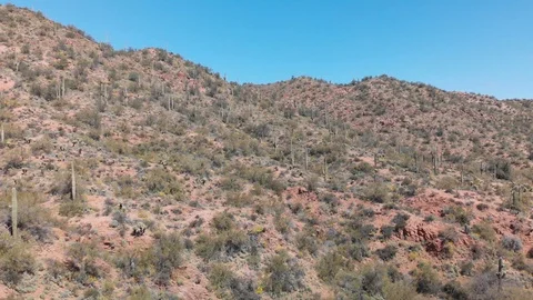 Arizona Desert Stock Footage 129524081
