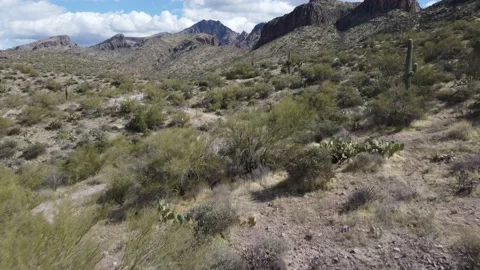 Arizona desert Video stock 180601103