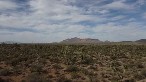 Arizona Desert Video stock 183142167