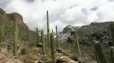 Arizona Desert Landscape Winter Time Lapse Stock Footage