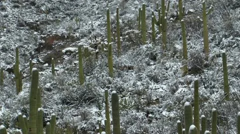 Arizona Desert Snow Scenic Stock Footage