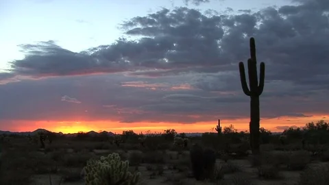 Arizona desert sunset Stock Footage 74061970