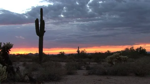 Arizona desert sunset Stock Footage 74061982