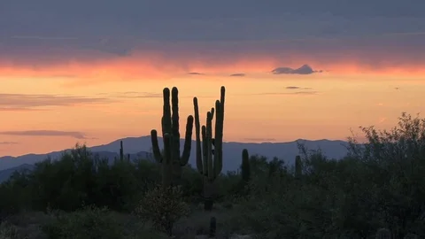 Arizona desert sunset Stock Footage 74062001
