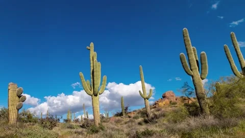 Arizona Desert Time Lapse With Clouds &amp; Cactus 库存影片 157993252