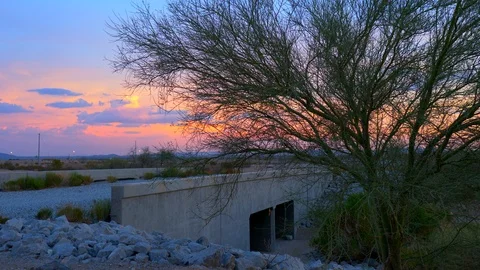 Arizona Desert Tree Sunset Stock Footage 92287510