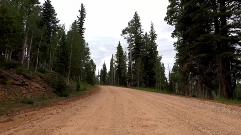 Arizona Driving Dry Park Fire Tower North Rim Grand Canyon Stock Footage 314588564