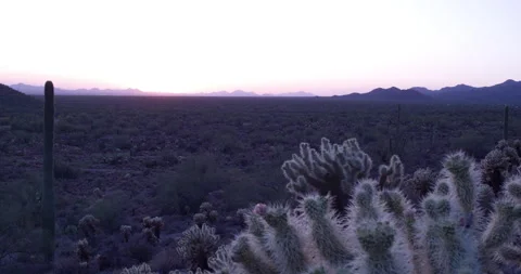 Arizona Dusk 2 動画素材 261997989