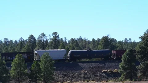 Arizona. A freight train passing through a heavily wooded area. Stock Footage 334778975