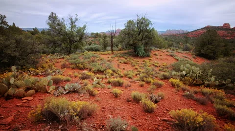 Arizona landscape Stock Footage 45682558