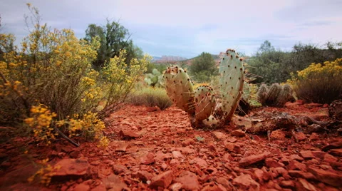 Arizona landscape Stock Footage 45683062