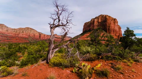 Arizona landscape Stock Footage 46057918