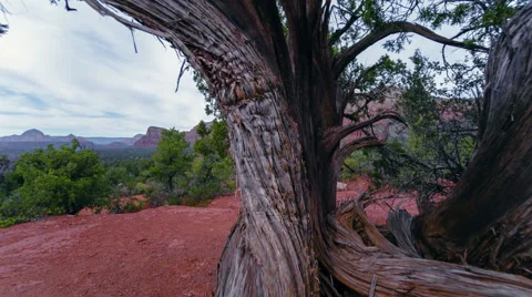 Arizona landscape Vidéo 46500344