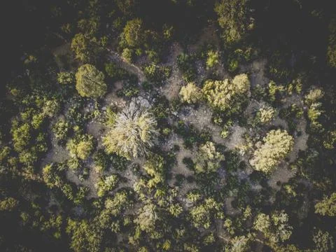 Arizona Landscape Stock Photos