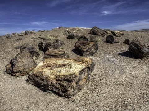 Arizona Petrified Forest and the eroding badlands of the Painted Desert Stock Photos