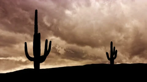 Arizona Saguaro dramatic storm Stock Footage 24122691