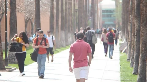 Arizona State University - Palm Walk Telephoto Shot Stock Footage