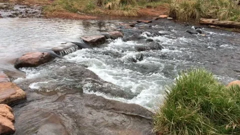 Arizona Stream 動画素材 143045840