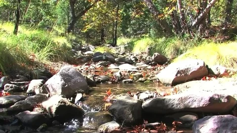 ARIZONA STREAM AT U.S. BORDER Stock Footage 218198370